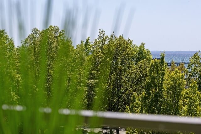 Ferienwohnung in Kellenhusen - Strandappartements am Leuchtturmweg Heimatgefühl - Bild 10