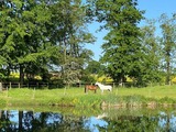Ferienwohnung in Rieseby - Gut Büchenau - Ferienwohnung Weitsicht - Bild 16