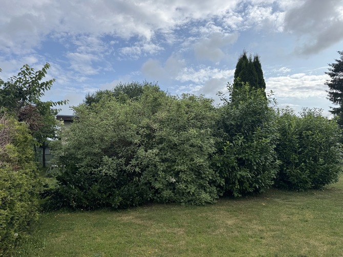 Ferienwohnung in Rövershagen - Sonne und Me(eh)r (Niederhagen) - Garten