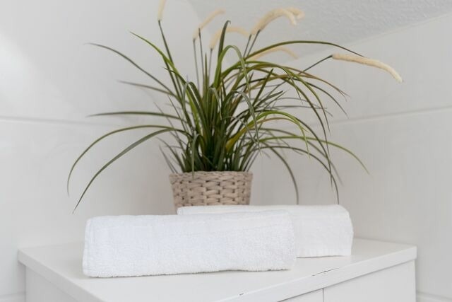 Ferienwohnung in Grömitz - Hasenkamp 30 Schwalbennest Grömitz - Bild 21 Ferienwohnung in Grömitz - Hasenkamp 30 Schwalbennest Grömitz - Bild 21