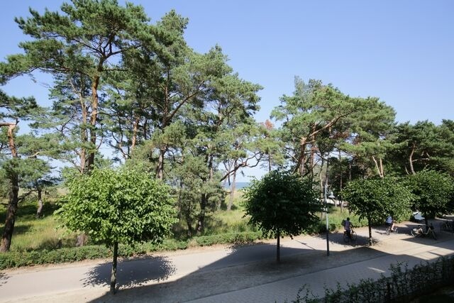 Ferienwohnung in Ahlbeck - (Brise) Strandresidenz Else Marie App. 1.11 - Bild 21