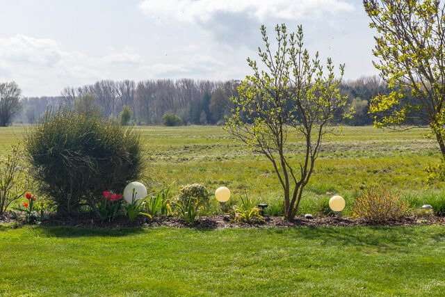 Ferienwohnung in Boltenhagen - Haus Sky Blue Whg. EG - Bild 11