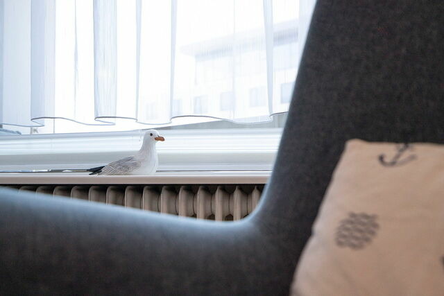 Ferienwohnung in Gr&ouml;mitz - Gr&ouml;mitz-Center Whg. 318 - Bild 13
