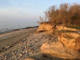 Ferienhaus in Hohen Wieschendorf - Strandhaus Fiete - Haus Walfisch - ABC330 - Bild 20