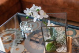Ferienwohnung in Sellin - at Home im FIRST Sellin - Bild 2
