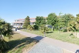 Ferienwohnung in Hohen Wieschendorf - Ostseeapartment LizArt No. 33 - Aurora Vista - ABC420 - Bild 5