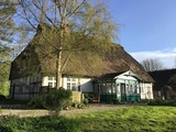 Ferienwohnung in Twedt - Hof L&uuml;cke - Ferienwohnung Natur - Bild 13