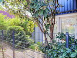 Ferienhaus in Zingst - Alter Schwede 1 - Bild 16