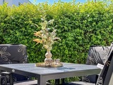 Ferienwohnung in Zingst - Stranddistel 4 - Bild 20