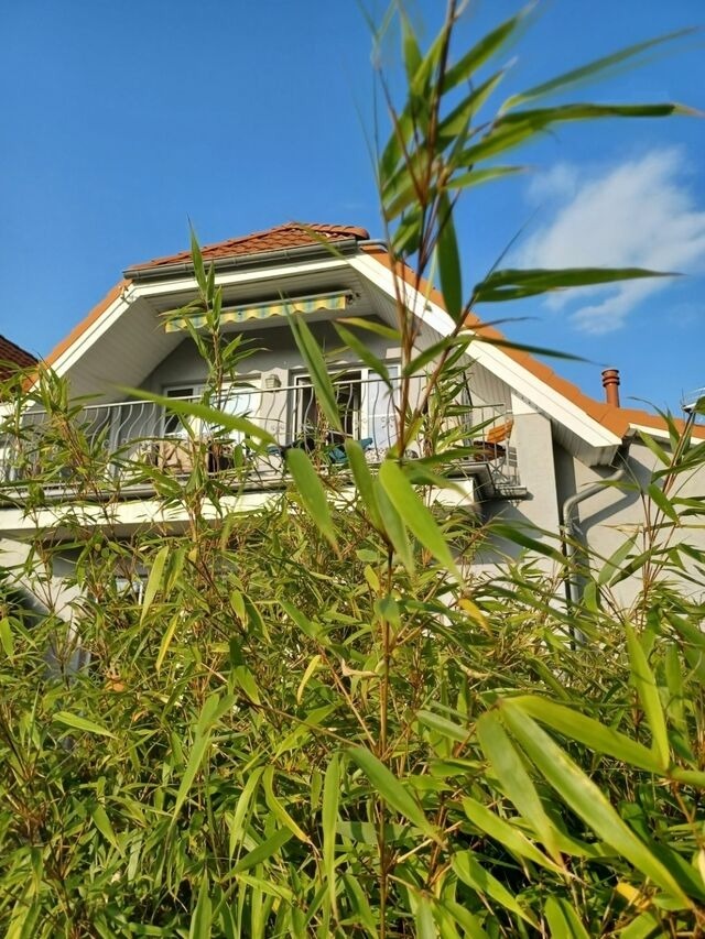 Ferienwohnung in K&uuml;hlungsborn - Sonnige Zeit - 60-08 - Bild 4