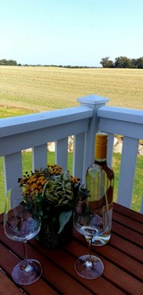 Ferienhaus in Zierow - Reethaus "Barfuss" - Bild 10