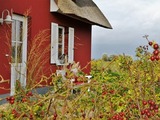 Ferienhaus in Zierow - Reethaus "Seeadler" - Bild 4