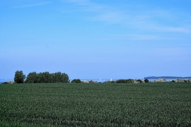 Ferienhaus in Zierow - Reethaus "Seeadler" - Bild 22