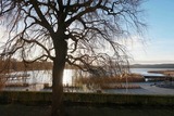 Ferienwohnung in Binz - Villa Seerosen, Whg. 13 "Am See" - Bild 11