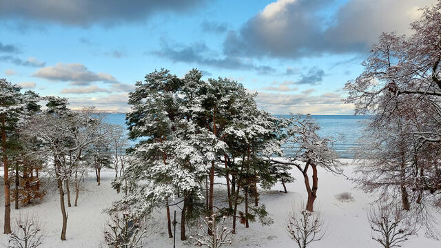 Ferienwohnung in Binz - Aparthotel Ostsee, Whg. 20 - Bild 16