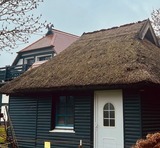 Ferienwohnung in Middelhagen - Ferienwohnung Salzwiesen mit eigenem Saunarohrhus - Bild 25