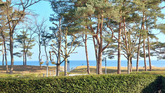 Ferienwohnung in Binz - Aparthotel Ostsee, Whg. 4 - Bild 11