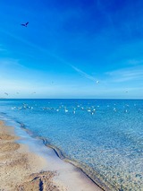Ferienwohnung in Maasholm - Ferienwohnung Jasmin Ostsee - Bild 1