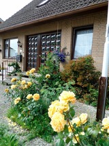 Ferienwohnung in Dahme - Ferienwohnung Pier 2 - Bild 3