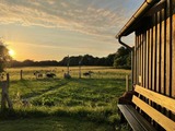 Ferienwohnung in Wagersrott - Ferienwohnung nahe Ostsee & Schlei - Bild 22